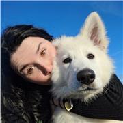 Tout savoir sur le chien et le chat (elevage, éducation, alimentation, évolution...)